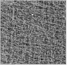 97622娱乐电子游戏科技
